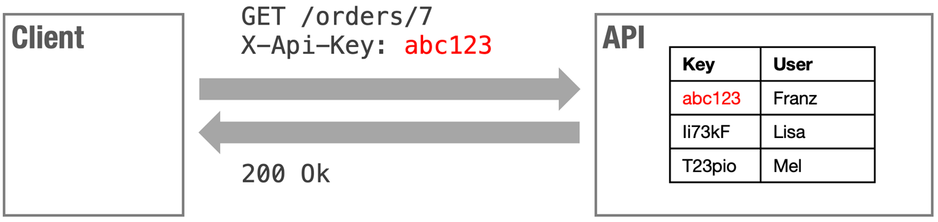 What Are API Keys Membrane API Gateway